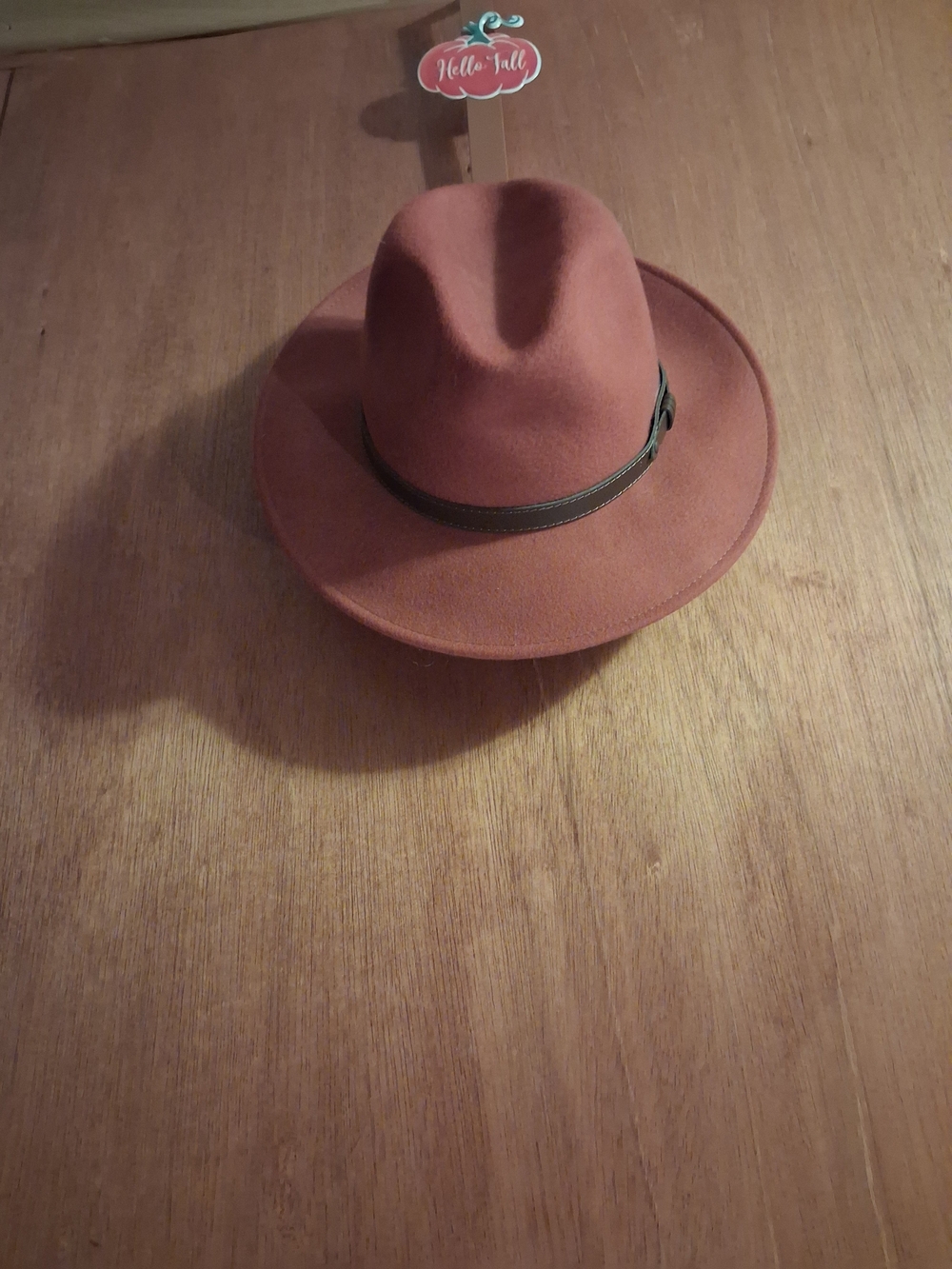 Gelso Biano Rust Rust Wool Fedora with Black Band. NWT